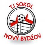 Tj Sokol Nový Bydžov - nohejbal